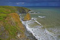 Coastal Scenery Near Bunmahon, The Copper Coast, County Waterford, Ireland von Panoramic Images