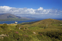 Mountain Ridge on Bear Island, Beara Peninsula, County Cork, Ireland von Panoramic Images