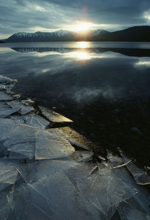 Broken Shoreline Ice On Mcdonald Lake von Panoramic Images