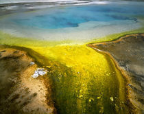 USA Wyoming Yellowstone National Park von Panoramic Images