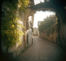 Historic buildings along a street, Neive, Cuneo Province, Piedmont, Italy von Panoramic Images