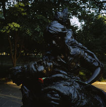 Close-up of a statue von Panoramic Images