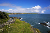 Road to Boatstrand Harbour, The Copper Coast, County Waterford, Ireland von Panoramic Images