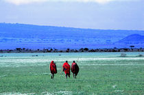 Maasai on Serengeti Africa von Panoramic Images