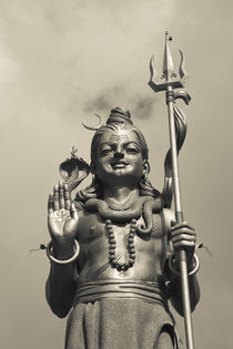 Statue of Lord Shiva the Hindu God von Panoramic Images