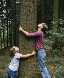 Side profile of a girl and a teenage girl hugging a tree, Germany by Panoramic Images