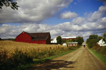 Amish farm buildings and corn field along country road, Ohio, USA. by Panoramic Images