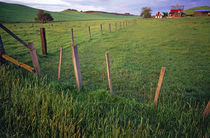 Landscape With Farm And Fenceline by Panoramic Images