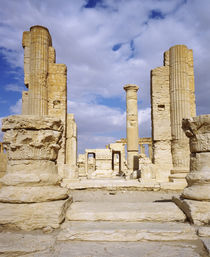 Ruins of a colonnade, Palmyra, Syria by Panoramic Images