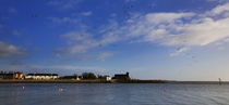 View to Abbeyside, With Flying Brent Geese, Dungarvan, County Waterford, Ireland von Panoramic Images