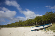 Boat on the beach, Anse Ally Beach, Anse Ally, Rodrigues Island, Mauritius von Panoramic Images