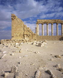 Ruins of a colonnade, Palmyra, Syria by Panoramic Images