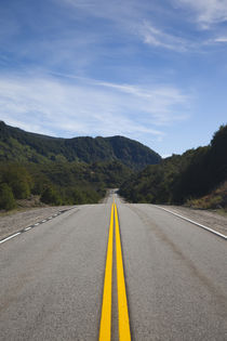 Road passing through a forest, RN 234, Lake District, Argentina by Panoramic Images