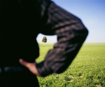 Rear view of a man framing a tree with his arm, Germany by Panoramic Images