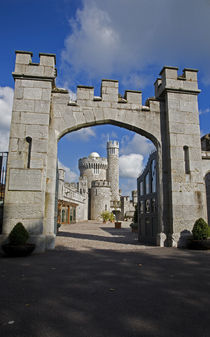 Blackrock Castle Observatory, Cork City, Ireland by Panoramic Images