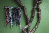 Fabric samples and tree outside a store, Colonia Del Sacramento, Uruguay by Panoramic Images