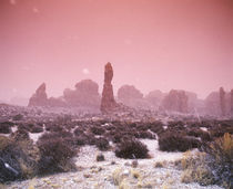 Rock formations on a landscape, Arches National Park, Utah, USA von Panoramic Images