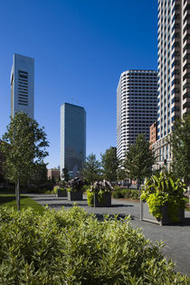 Skyscrapers in a city, Atlantic Avenue Greenway, Boston, Massachusetts, USA by Panoramic Images