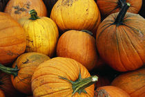 Pile of harvested pumpkins, close up. von Panoramic Images