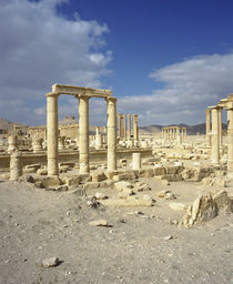 Ruins of a colonnade, Palmyra, Syria by Panoramic Images