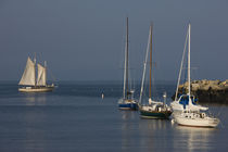 Appledore III sailing ship in the sea by Panoramic Images