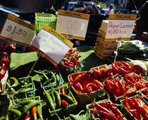 Chilli peppers in a market stall, Grand Rapids, Kent County, Michigan, USA by Panoramic Images