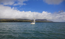 Yacht sailing down Bear Haven, Beara Peninsula, County Cork, Ireland by Panoramic Images