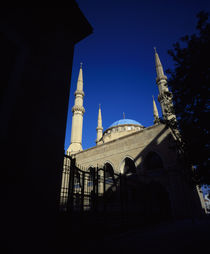 Low angle view of a mosque von Panoramic Images