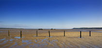 Tractors Harvesting Shellfish, Cunnigar, Dungarvan, County Waterford, Ireland von Panoramic Images