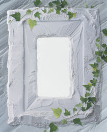 White plaster frame with ivy by Panoramic Images