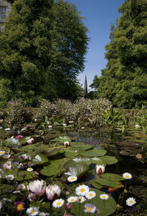 Lily Pond and Contemporary Sculpture, Lismore Castle, County Waterford, Ireland von Panoramic Images