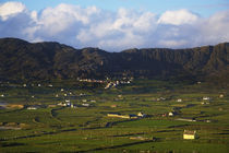 Allihies Village, Beara Peninsula, County Cork, Ireland von Panoramic Images