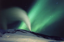 Steam erupting from a geyser, Svartsengi Power Plant, Iceland by Panoramic Images