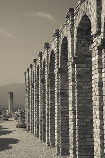 Roman ruins, Grotte Di Catullo, Sirmione, Lake Garda, Lombardy, Italy von Panoramic Images