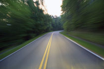 Road winding through forest at dusk by Panoramic Images