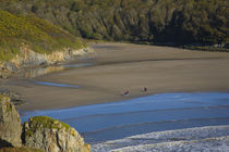 Walkers on Stradbally Strand, the Copper Coast, County Waterford, Ireland von Panoramic Images