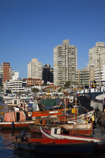 Boats at a harbor, Punta Del Este, Maldonado, Uruguay by Panoramic Images