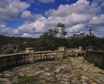 Trees near a stone walkway, Diamantina, Minas Gerais, Brazil by Panoramic Images