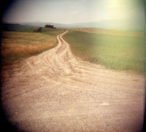 Dirt road passing through agricultural fields, Italy von Panoramic Images