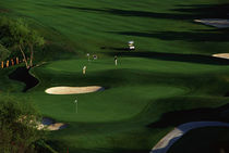 Golfer Putting on the Green von Panoramic Images