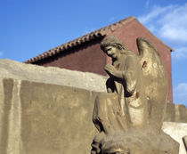 Angel's statue in front of a building, Egypt by Panoramic Images