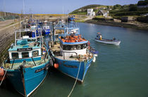 Helvick Harbour, Ring Gaeltacht Region, County Waterford, Ireland by Panoramic Images
