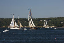 Schooner leaving harbor for a race by Panoramic Images