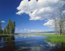 USA Wyoming Yellowstone National Park von Panoramic Images