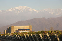 Winery in a field with mountains in the background von Panoramic Images