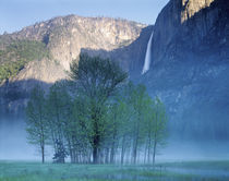 USA, California, Yosemite National Park, Waterfall falling from the mountain von Panoramic Images