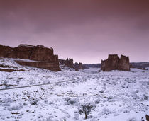 Rock formations on a landscape, Arches National Park, Utah, USA by Panoramic Images