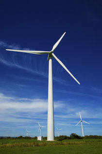 Windfarm, Bridgetown, County Wexford, Ireland by Panoramic Images
