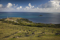 High angle view of a village at the coast von Panoramic Images