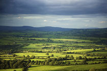 Pastoral Fields, Near Clonea, County Waterford, Ireland von Panoramic Images